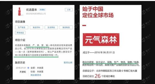 套利與降維的游戲 元氣森林的商業邏輯與融資咨詢服務