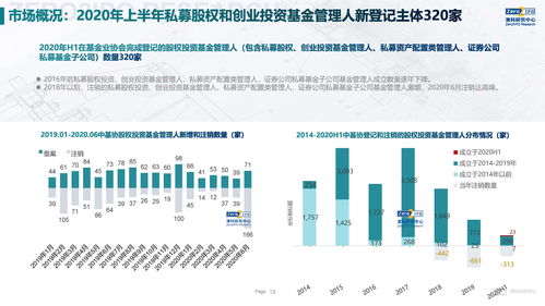 2020上半年中國股權(quán)投資市場回顧與展望 融資咨詢服務的新變局與新機遇