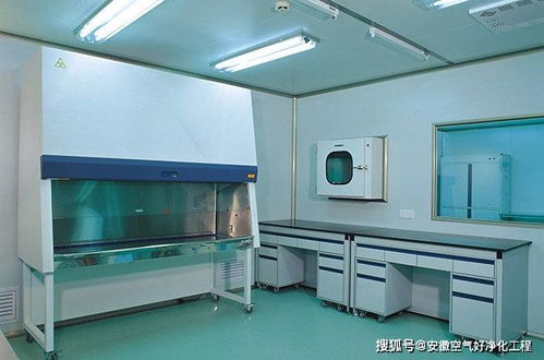 合肥市無菌凈化車間設(shè)計(jì)與施工 以惟物實(shí)驗(yàn)室為例的實(shí)踐解析