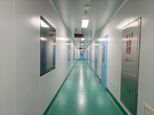 中原醫(yī)學科學城動物實驗室投用 惟物實驗室開啟生命科學研究新篇章